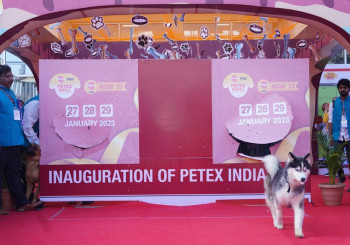 PETEX INDIA 2023